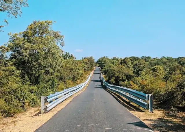 roadmap